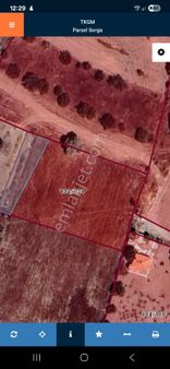 İncesu Kumbağ Da Satılık Bağ