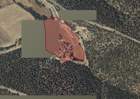 Honaz Yokuşbaşı’nda Satılık Geniş Tarla