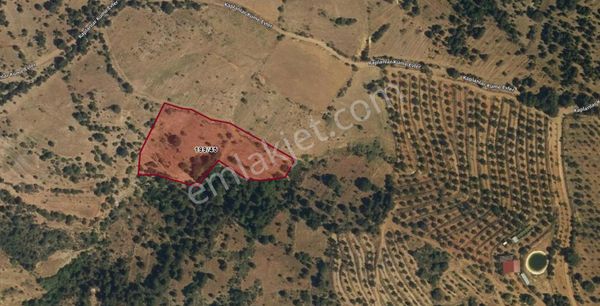 Denizli Pamukkale Güzelpınar’da Satılık Bağ