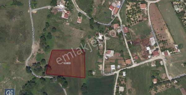 Arnavutköy Tayakadın'da, Havalimanına Sadece 2,5 Km. Satılık 6.160 M2 Tarla