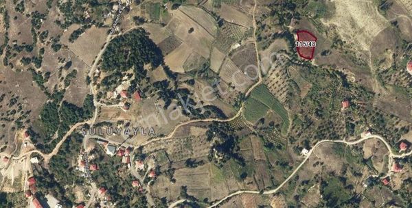 Coldwell Banker' Dan Suluyayla Mh. Satılık Tarla