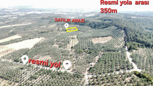 Dedeköy De 1800 M2 Tarla Tapulu