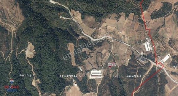 Manisa Turgutlu Yukarıbozkır Yaylasında Satılık Bahçe