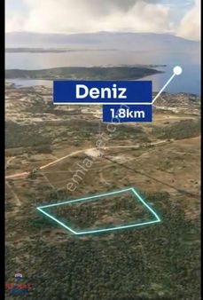 Çeşme Reisdere'de 17919 M2 Zeytin Ağaçlı Satılık Tarla