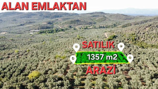 Tirilyede Talatbeyde