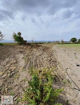 Acil Satılık Müstakil Tapulu Tarla