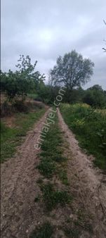 E&f Gayrimenkul'den Deydinler Mahallesinde Kadastro Yola Cephe Acil Satılık Tarla