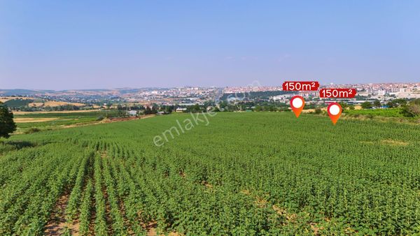 Tekirdağ Süleymanpaşa Yavuz Mah. İmarli Arsa