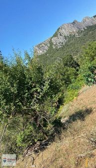 Sakarya Geyve Demirlerde Satılık Arsa