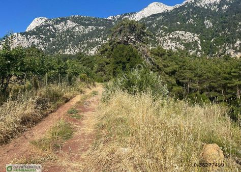 Antalya Kumluca Gölcük Mah. 2777 M2 Müstakil Arazi