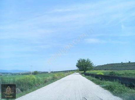 Foça Gerenköye 600 M Mesafe Tek Tapu Asfalt Yola Cepheli Tarla