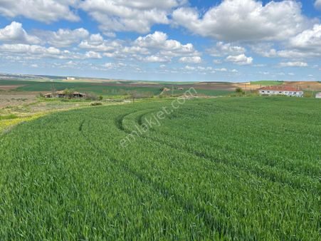 Tekirdağ Süleymanpaşa Gündüzlü 219 M2 Satılık