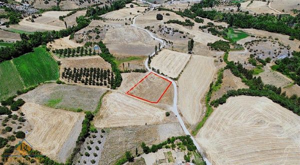 Doğal Şehir Emlak'tan Emendere Mahallesin'de Satılık Tarla