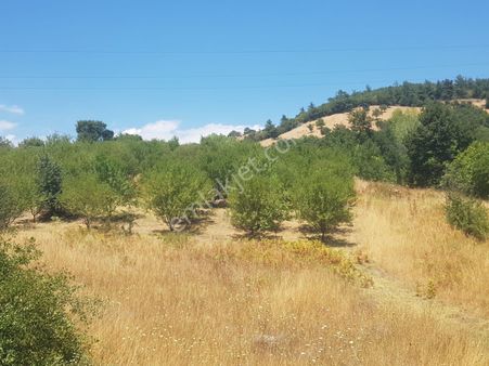 Çanakkale Çan İmarlı Arsa