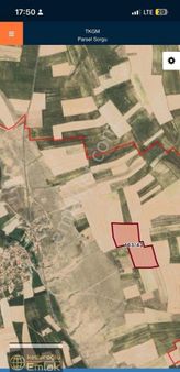 Kozaklı Satılık Tarla 71.000m2