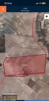 Nevşehir Kozaklı Karahasanlı Mendilli 165.000m2