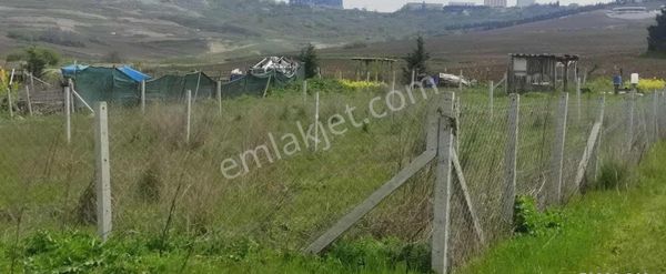 Büyükçekmece Merkezde Satılık 250+250m2 Satılık Arsa