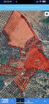 Mudanya Yalıçiftlik Te Fırsat Zeytinlik