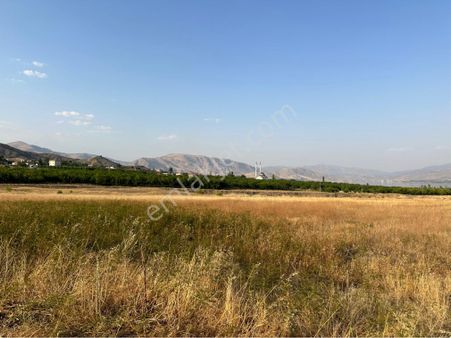Furkan Doğan’dan Battalgazi Erenli’de 4 Dönüm Acil Satılık Sulu Tarla