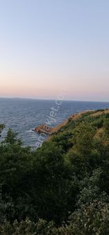 Bandırma Dutliman 2700 M2 Denize Sıfır Tarla Muhteşem Manzara