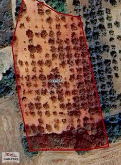 İnegöl Çavuşköyde Satılık Kupon Tarla