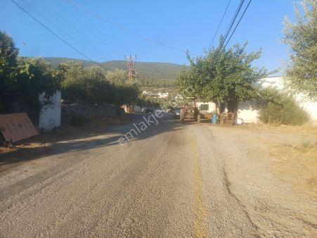 Milas Kazikli Mahallesinde Konut+ticari İmarlı Arsa