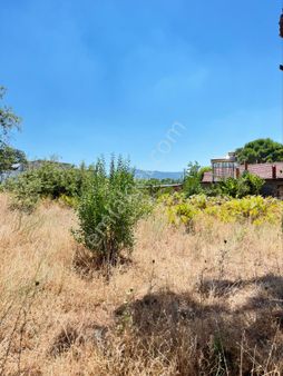 Kozak Yaylasının En Çok Prim Yapan Köyünde Müstakil Tapu Uygun Fiyatlı Arsa