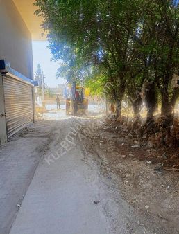 Eyyubiye Yenice Tokı Muazzam Genişlik Her İş Koluna Uygun 550m2