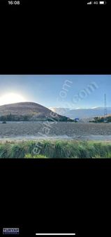 Belende Ana Caddeye İkinci Parsel 24 Dönüm