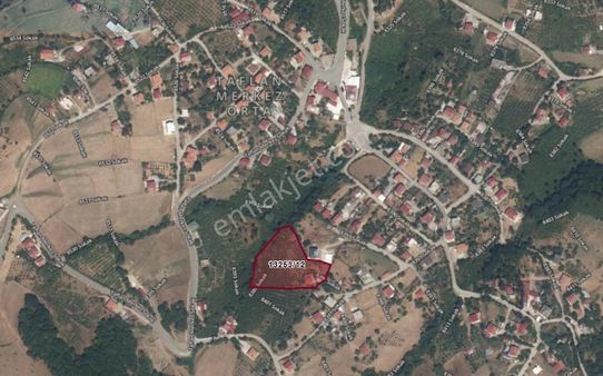 Truva'dan Taflan'da Evi Hazır,tamamı Fındık, Deniz Manzaralı Tarla