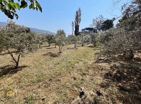 Esenköyde Anacaddeye Çok Yakın 690m2 Satılık Fırsat Tarla