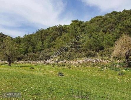 Kaya Köyde Müstakil Manzaralı 24892 M2 Satılık Parsel