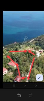 Perşembe Ramazan Mah. 10 Adet Bungola Yapımına Uygun İmarlı Bahçe