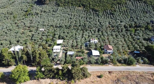 Göle 300 Metre Uzaklıkta! İznik Mustafalı Köyünde 974m2 Göl Manzaralı Eytinlk