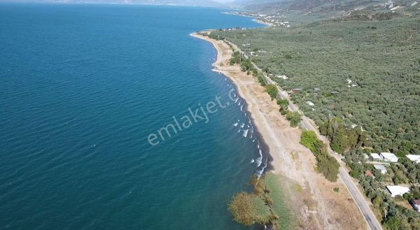 Göle 300 Metre Uzaklıkta! İznik Mustafalı Köyünde 900 M2 Göl Manzaralı Eytinlk