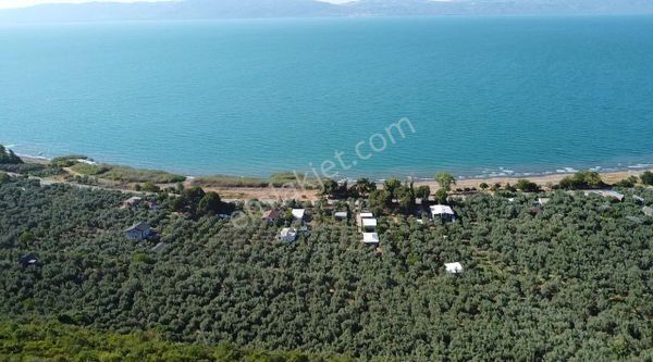 Göle 300 Metre Uzaklıkta! İznik Mustafalı Köyünde 1.278 M2 Göl Manzaralı Eytinlk