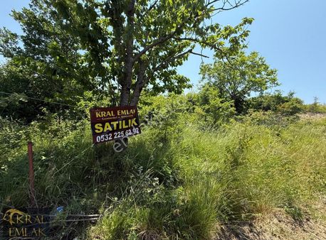 Doğancılar Mevkisinde Denize Yakın 320m2 İmarlı Acilsatılık Arsa