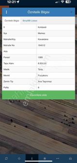 Kavakdere'de 8.500 M2 Müstakil Tarla