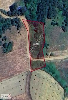 Truva Gayrimenkul Den Acil Sındırgı Çıkrıkçıda 1435m2 Yola Cephe