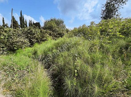 Altın Emlak Trabzon Akyazı'da Satılık Denız Manzaralı Arsa