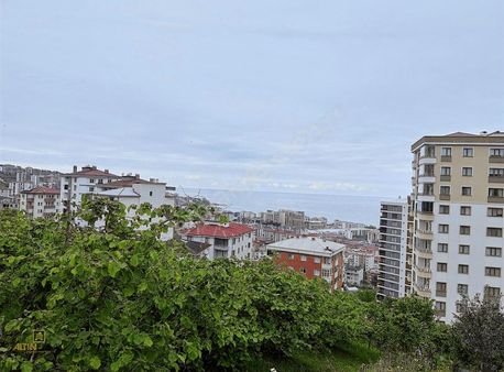 Altın Emlak Trabzon Kaşüstünde Satılık Fırsat Arsa