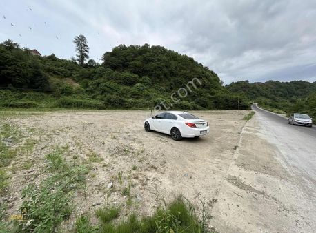 Altın Emlak Trabzonda Sanayi Bölgesinde Satılık Fırsat Arsa