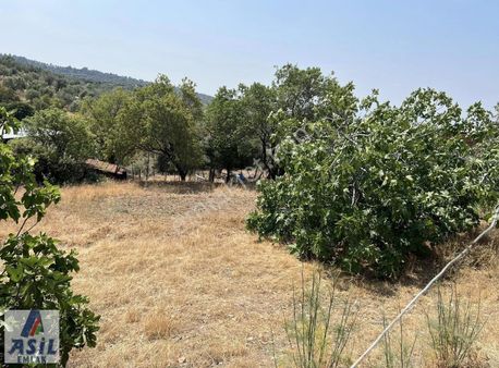 Yakuplar Köyü'nde Satılık Bahçe