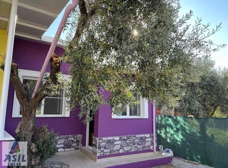 Turgutlu Derbent'de Satılık 276m2 Hobi Bahçesi