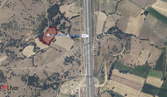 Liva'dan Savaştepe Karacalarda Satılık Tarla