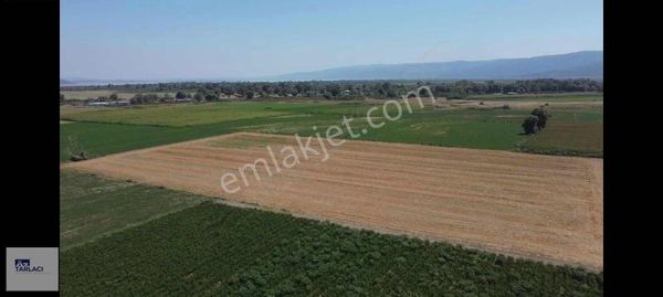 Mustafakemalpaşa Taşköprü Mah. Satılık Kupon Arazi 10.222 M2