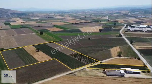 Mkp Koşuboğazı'nda Toplam 25.425m Tarla Satılık