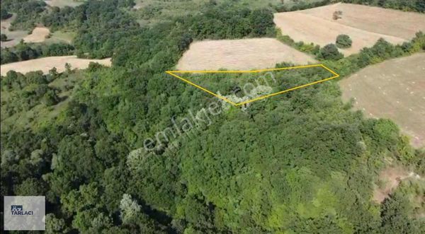 Mkp Lütfiye'de 2400m Korusuyla Satılık Tarla