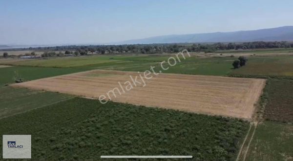 Ayaz Köy'de 9800m2 Satılık Tarla