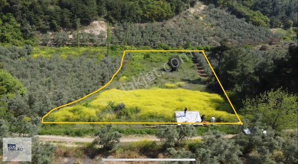 Mudanya Dereköy'de 2742m2 Tarla